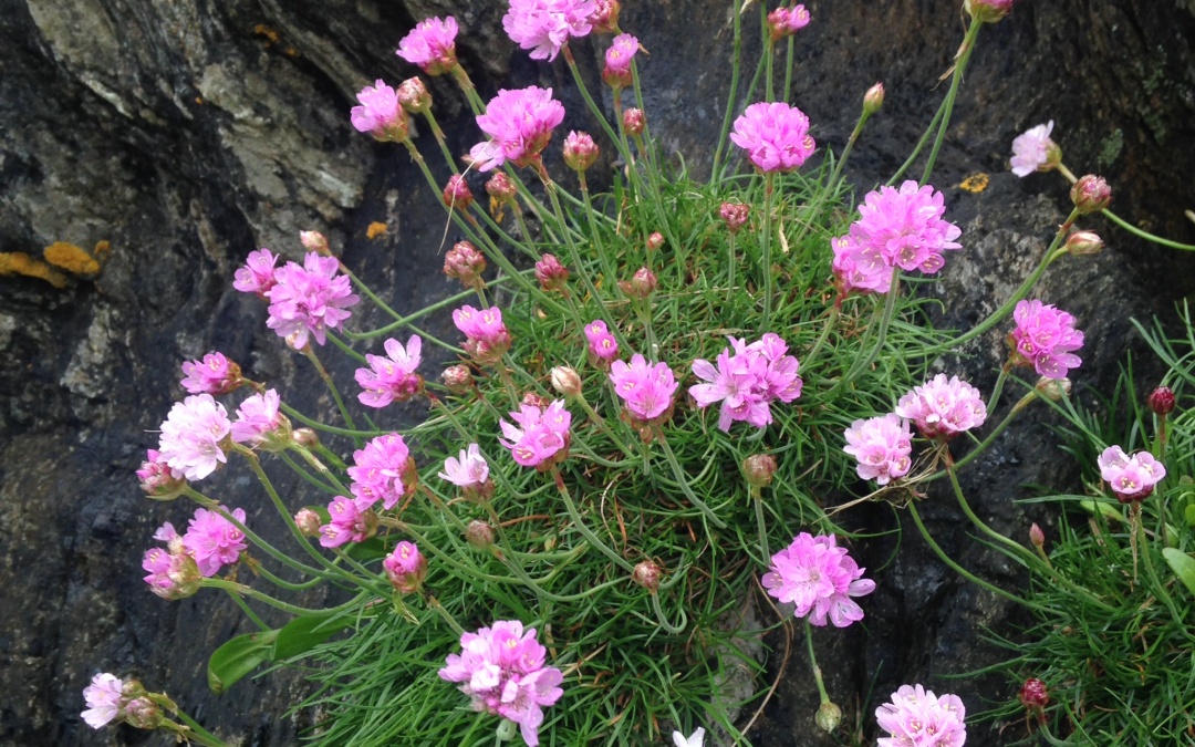 Springtime on the Estuary