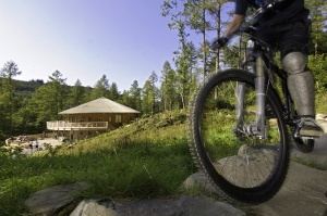 mountain biking at coed y brenin near graig wen | Snowdonia Cycling | Barmouth cycle trail | the Mawddach trail Dolgellau