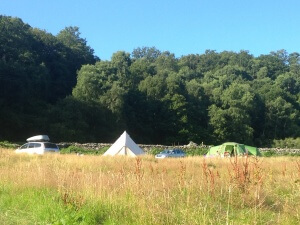 estuary field