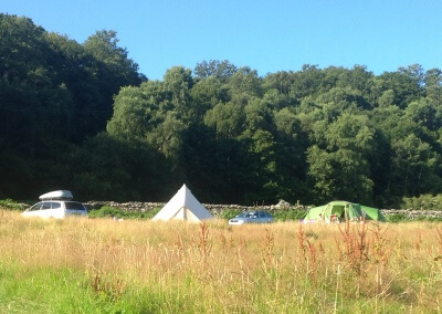 estuary field