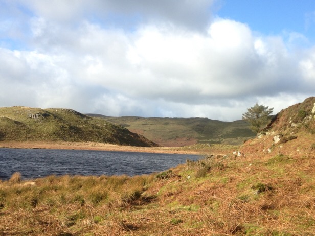 Walk to Llyn Barfog – the Bearded Lake