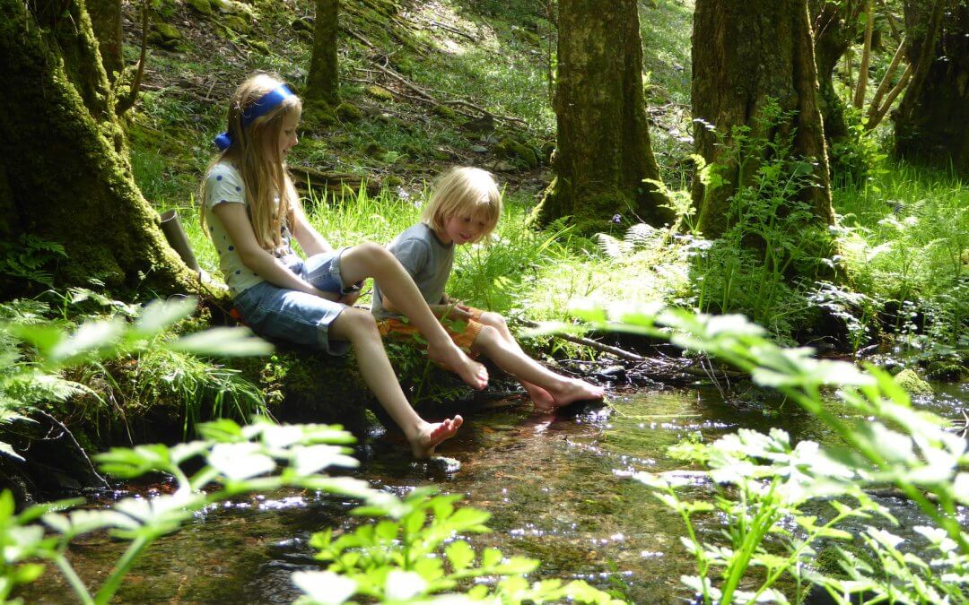 Family Glamping Wales, Dog Friendly Cottages Snowdonia, Mawddach Trail Accommodation, Snowdonia Camping