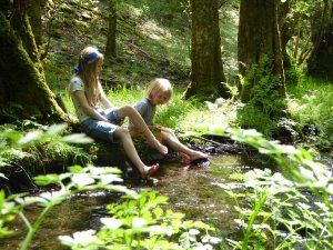 Family Glamping Wales, Dog Friendly Cottages Snowdonia, Mawddach Trail Accommodation, Snowdonia Camping