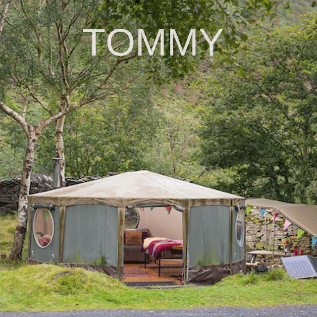 The Tommy yurt campsites in Snowdonia Wales 