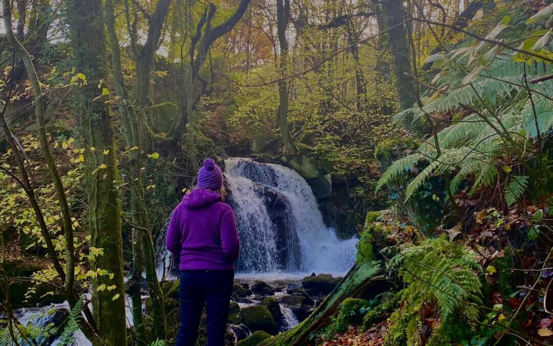 Arthog waterfalls