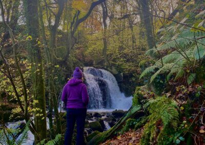 Arthog waterfalls