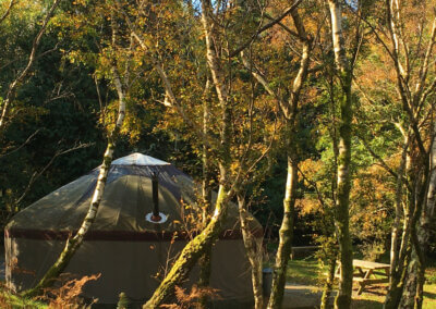 Autumn glamping at Graig Wen