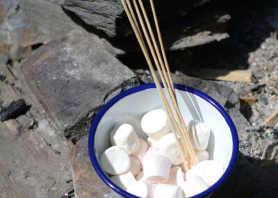 Marshmallows