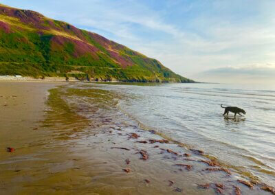 ycle friendly accommodation Snowdonia | Snowdonia Cycling | Barmouth cycle trail | the Mawddach trail Dolgellau | Traws Eryri trail