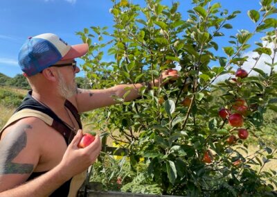 Picking apples