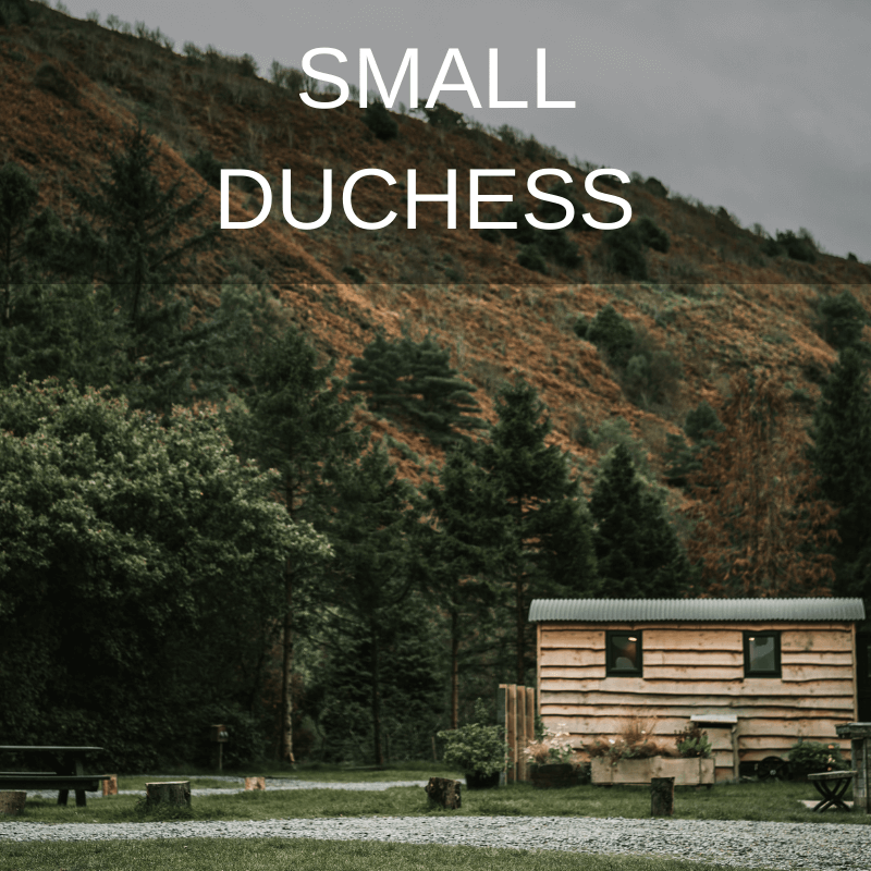 The Small Duchess Snowdonia accommodation quarry wagon