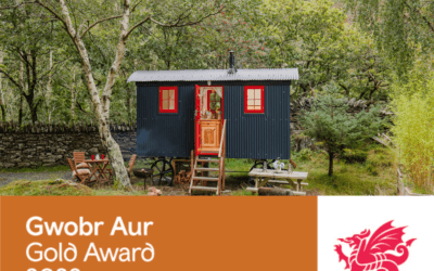 Gold Award winning Glamping!