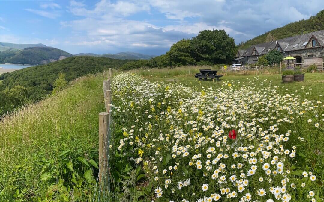 Snowdonia self catering | pet friendly accommodation Snowdonia