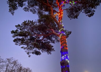 Christmas Tree Dolgellau, Christmas Glamping break North Wales, Snowdonia Christmas glamping