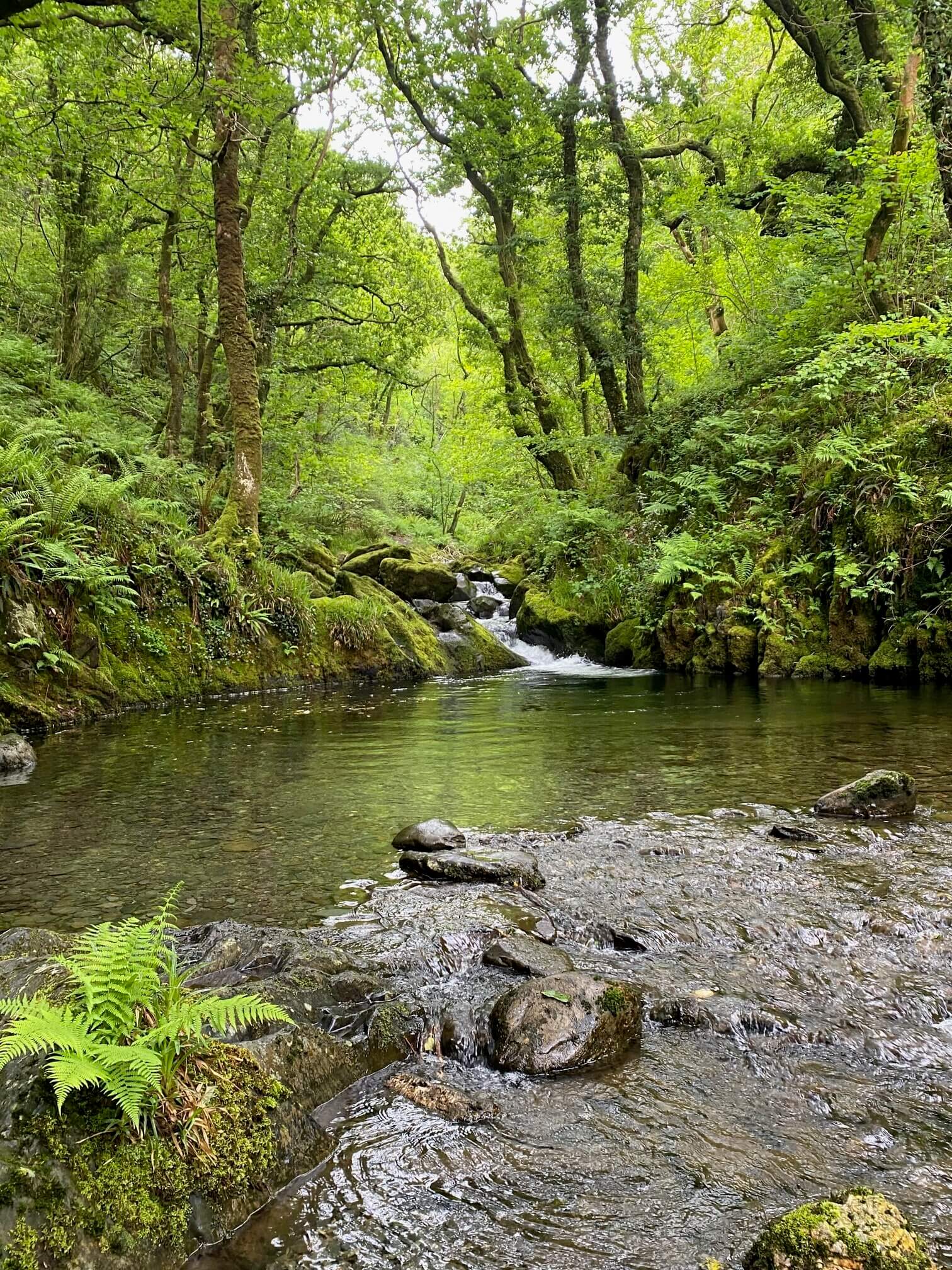 snowdonia hiking holiday waterfall