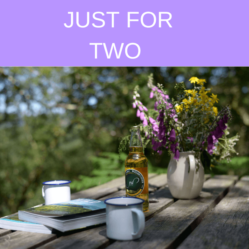 Wales glamping for two