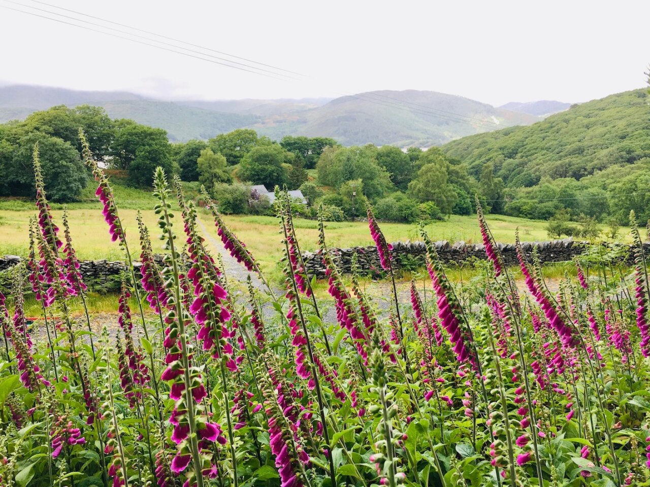 Spring Wales Spring camping and glamping holiday North Wales