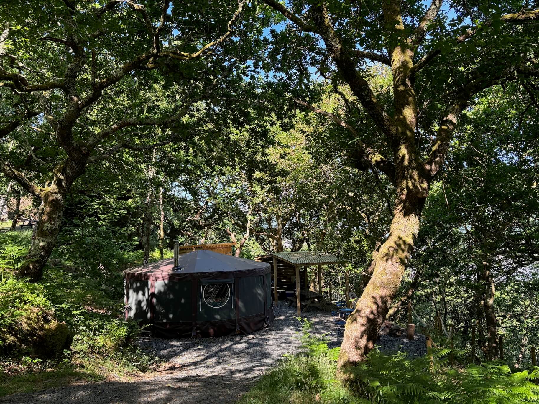 Blodeuwedd yurt, Glamping North Wales