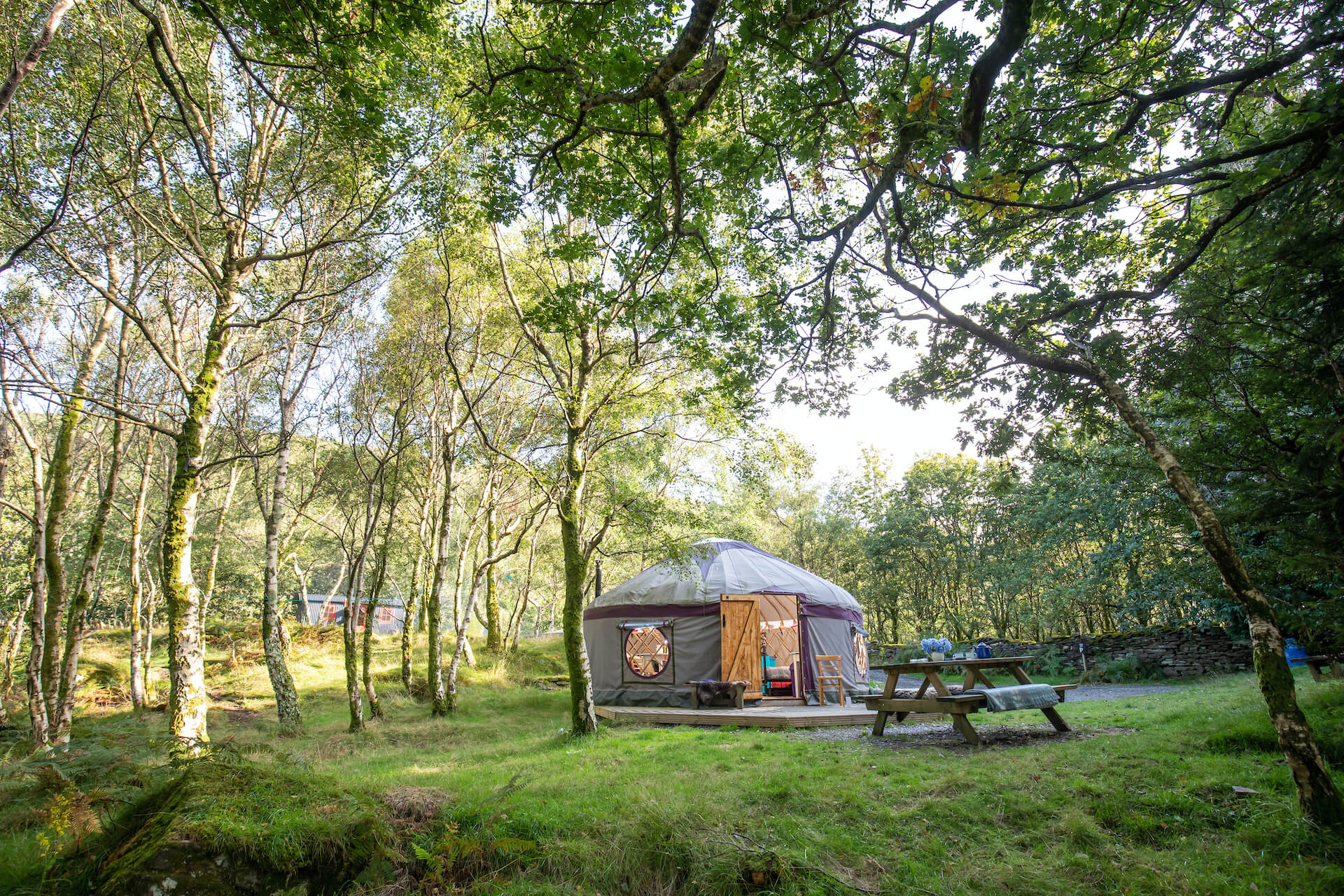 Graig Wen Glamping<br />
Arthog</p>
<p>Photography By Roy Riley<br />
07816547063 large yurt in woodland, glamping Snowdonia