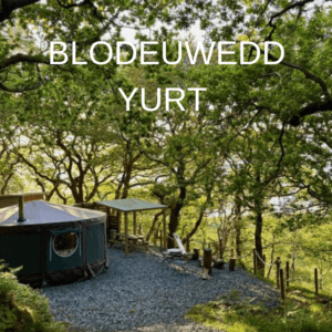 YURT IN TREES, GLAMPING ERYRI