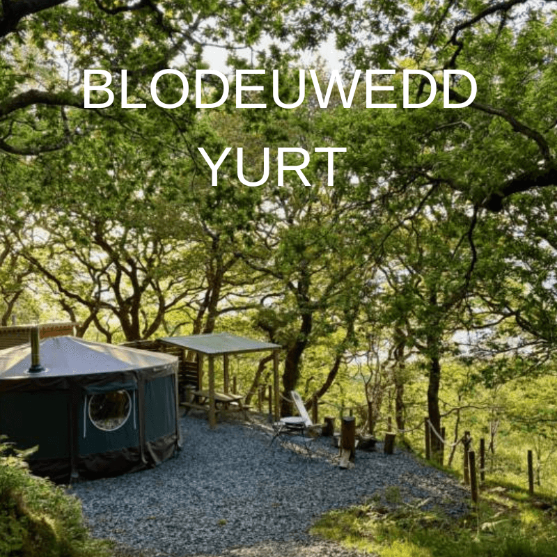 YURT IN TREES, GLAMPING ERYRI