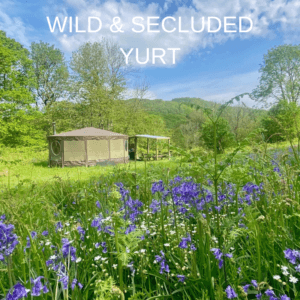 YURT IN BLUEBELLS
