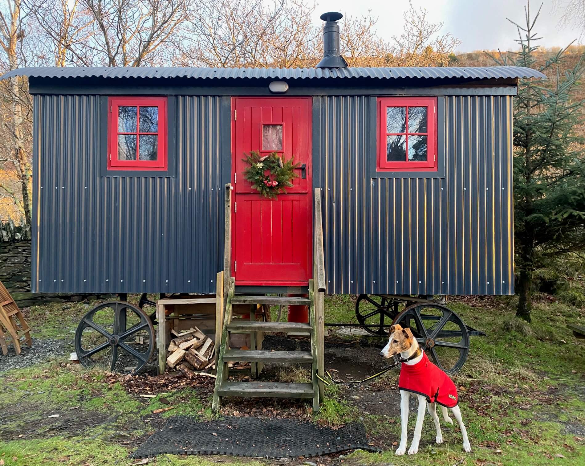 Festive Franklin and Jones Dog and Shepherd's Hut,Christmas New Year's Eve getaway North Wales