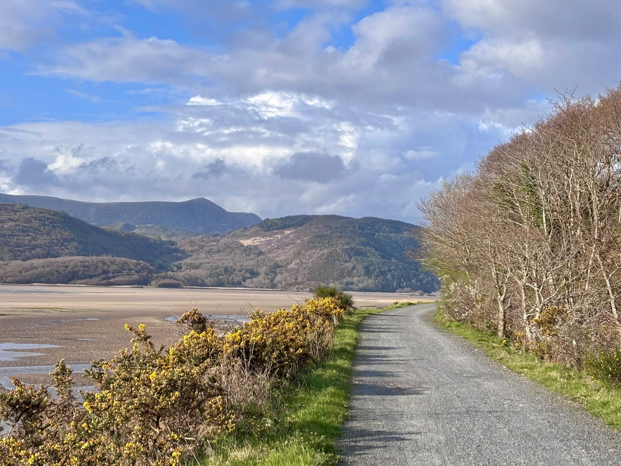 Trail by Estuary and mountains, Mawddach Trail