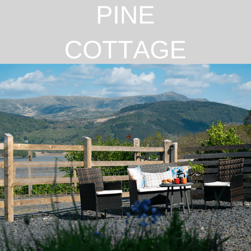 Pine Cottage holiday let near Barmouth