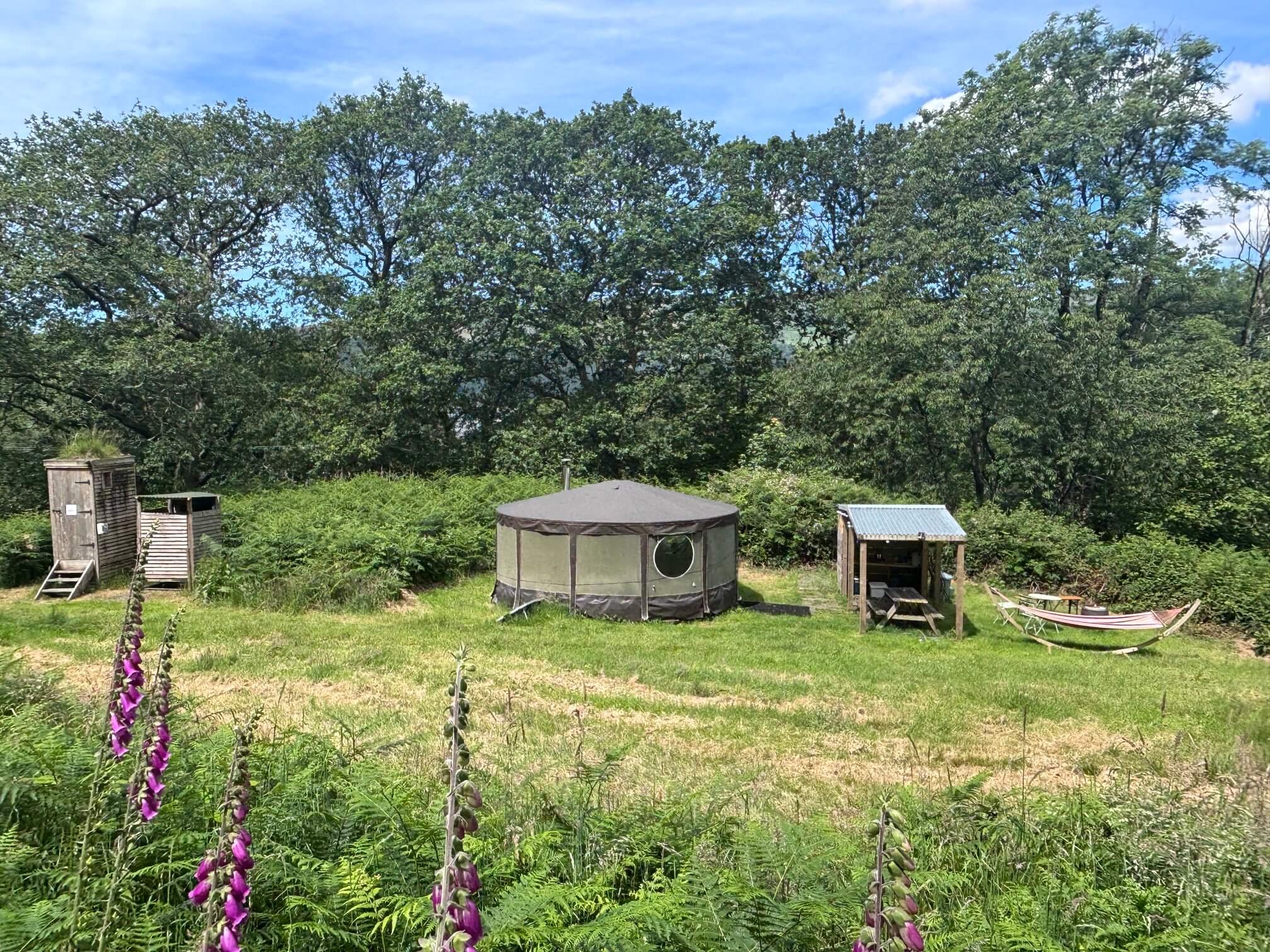 yurt with foxgloves, Wales yurt holiday